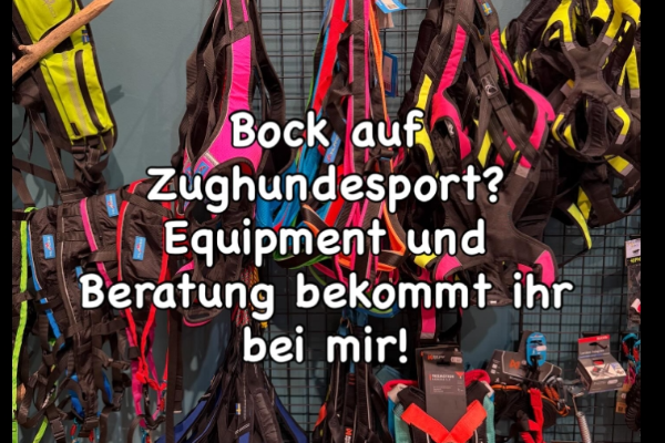 Bild 3 von Hund & Hike - Dein Outdoorladen für Hund und Mensch